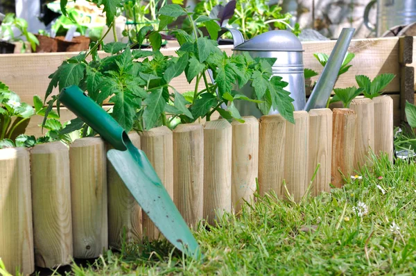 Plantation dans un potager — Photo