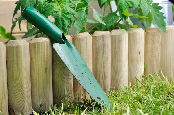 Plantación de vegetales en el jardín — Foto de Stock