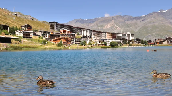 Duck on lake of Tignes — Stock Photo, Image