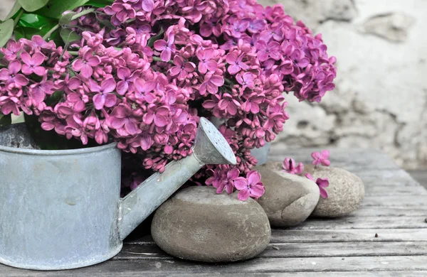 Lilac and stone — Stock Photo, Image