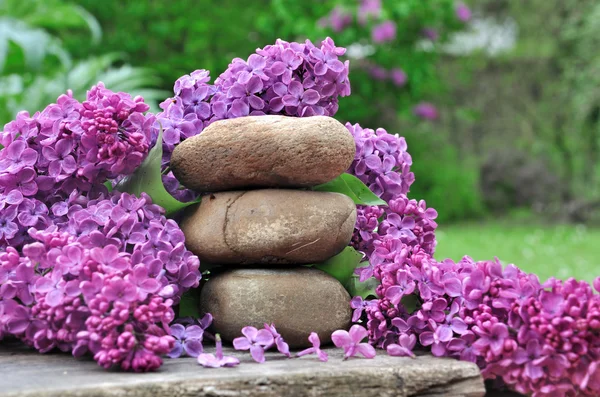 Decorazione floreale con lilla — Foto Stock