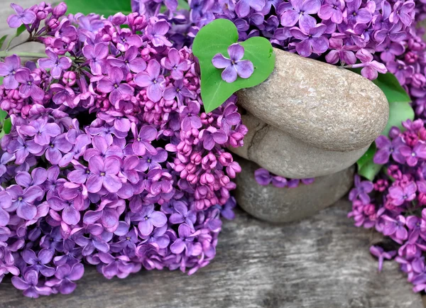 Decoración floral romántica — Foto de Stock