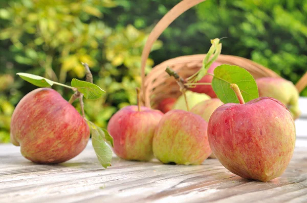 Frische rote Äpfel — Stockfoto