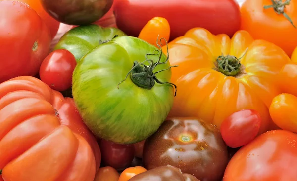 Groene zebra met andere tomaten — Stockfoto