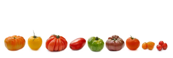 Banner mit Tomaten — Stockfoto