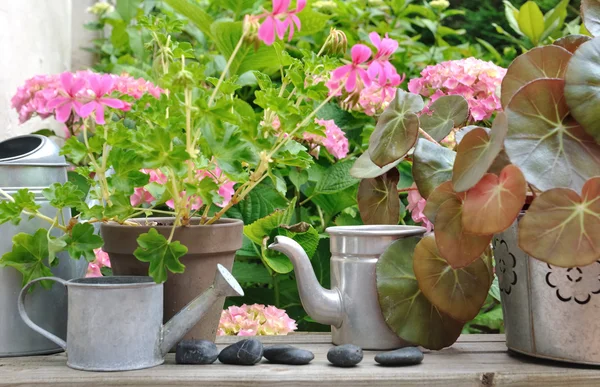 Цветочные украшения в саду — стоковое фото
