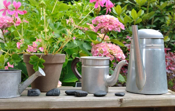 Floral decoration with watering can — Stock Photo, Image