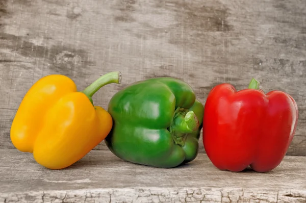 Lined of colorful peppers — Stock Photo, Image