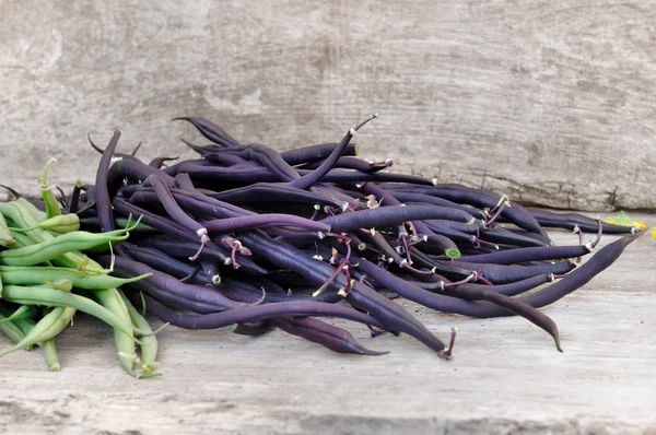 Feijão violeta fresco — Fotografia de Stock