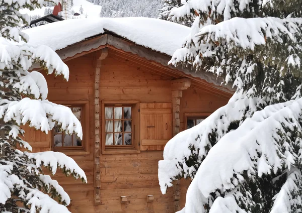Cottage em abetos nevando — Fotografia de Stock