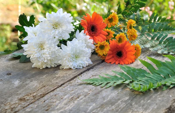 Pretty flowers from garden — Stock Photo, Image