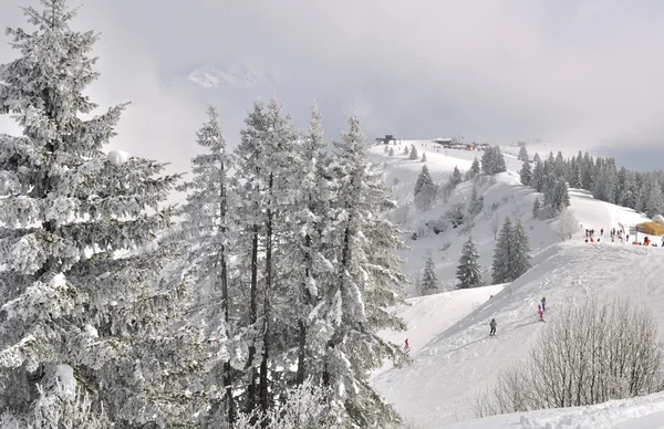 Piste de ski en montagne — Photo