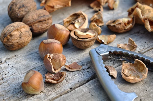 Avellanas y nueces —  Fotos de Stock