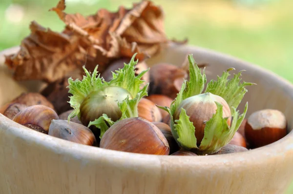 Nocciole fresche in una ciotola — Foto Stock