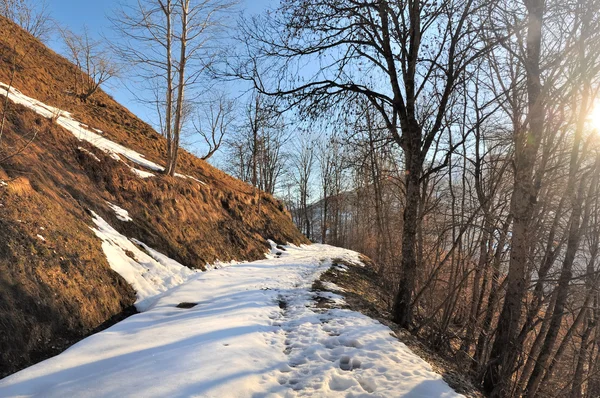 Sentiero di montagna in inverno — Foto Stock