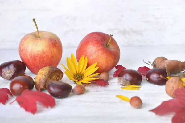 Red Apples Brown Yellow Flowers Leaves Autumnal Still Life White — Stock Photo, Image