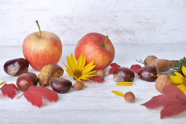 红色的苹果 棕色的 黄色的花 秋天的叶子 在白色的背景上静止不动地生活着 — 图库照片