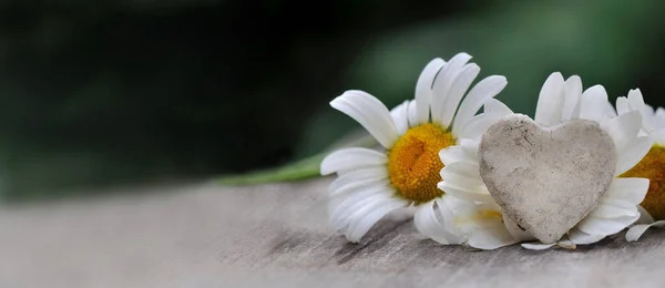 Pequeño Corazón Delante Margarita Blanca Sobre Una Mesa —  Fotos de Stock