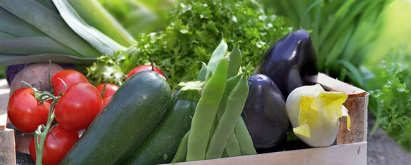 Perto Verduras Frescas Coloridas Uma Caixa Jardim — Fotografia de Stock
