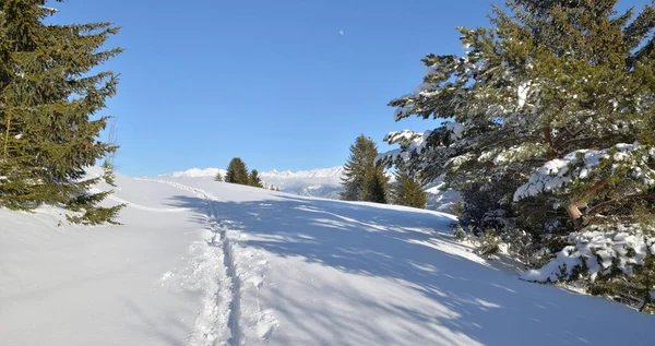 След Свежем Снегу Пересекающем Заснеженные Горы Голубым Небом — стоковое фото