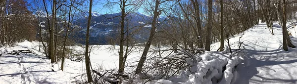 Vista Panoramica Sulla Foresta Innevata Con Sfondo Montano — Foto Stock