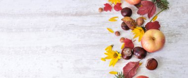 Kopya alanı ile beyaz arkaplanda düzenlenmiş renkli elma ve yaprak 