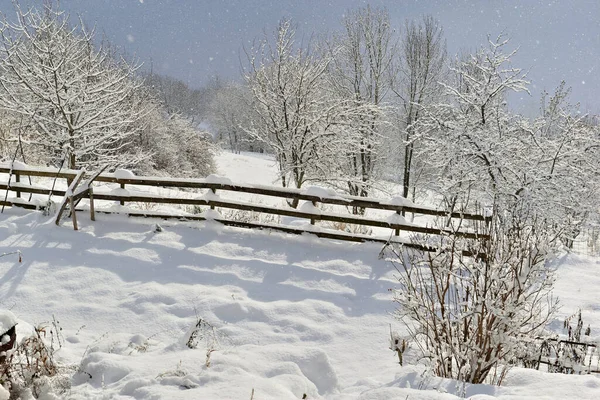 雪に覆われた木や柵に囲まれた草原は — ストック写真