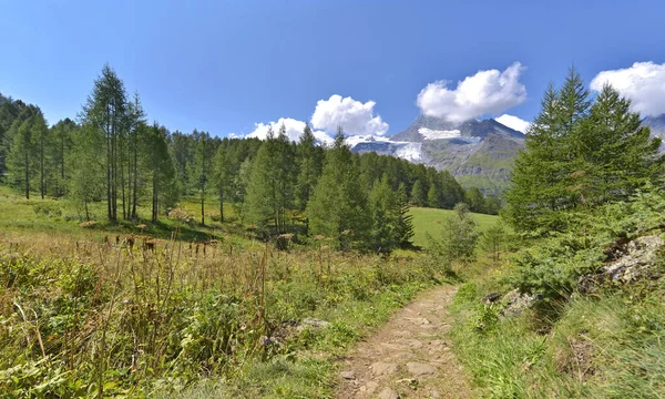 Vista Sendero Que Cruza Parque Nacional Alpino Francés Con Fondo — Foto de Stock