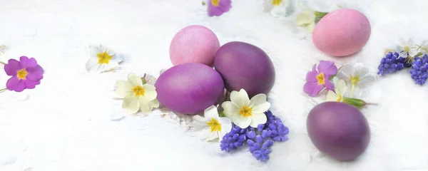 Velikonoční Vajíčka Malovaná Růžově Purpurově Stole Mezi Jarními Květy Okvětními — Stock fotografie