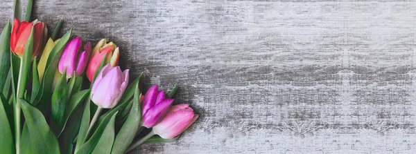 Panoramablick Auf Einen Strauß Tulpen Auf Einem Hölzernen Hintergrund Mit — Stockfoto