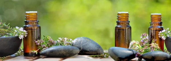 Panoramisch Uitzicht Flessen Etherische Olie Lavendel Bloemen Met Kiezelstenen Groene — Stockfoto