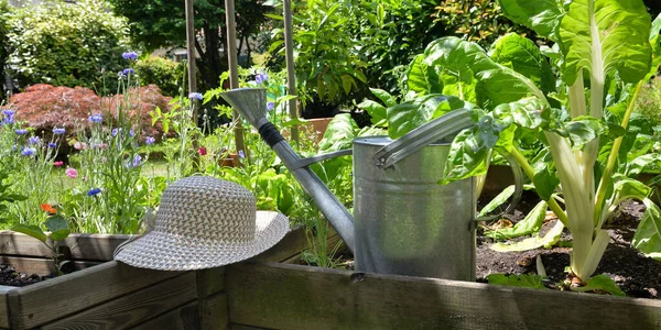 Kaleng Air Logam Dan Topi Wicker Kebun Sayur Tempat Tidur — Stok Foto