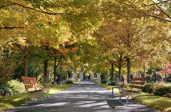 Aleja Pięknym Parku Publicznym Otoczona Kolorowymi Liśćmi Drzew Jesienią — Zdjęcie stockowe