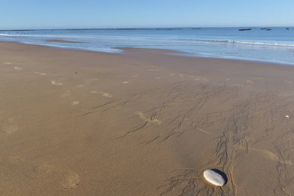 Βότσαλο Στην Υγρή Άμμο Στην Παραλία Φόντο Θάλασσα Στην Altantic — Φωτογραφία Αρχείου
