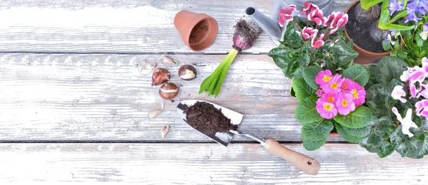 Ovanifrån Blommor Kruka Och Smuts Spade Vit Träplanka Med Kopieringsutrymme — Stockfoto