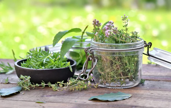 Pianta Aromatica Fresca Vaso Vetro Tavolo Giardino — Foto Stock