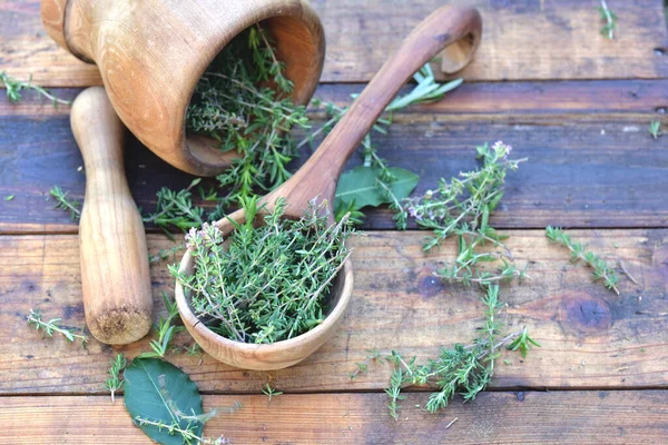 Herbe Aromatique Dans Une Cuillère Bois Mortier Sur Une Table — Photo