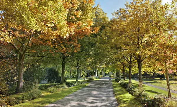 Cesta Přes Veřejný Park Ohraničený Stromy Podzimním Listím — Stock fotografie