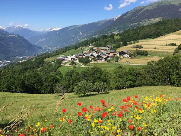 Vista Villaggio Europeo Nel Paesaggio Montano Alpino Con Papaveri Che — Foto Stock