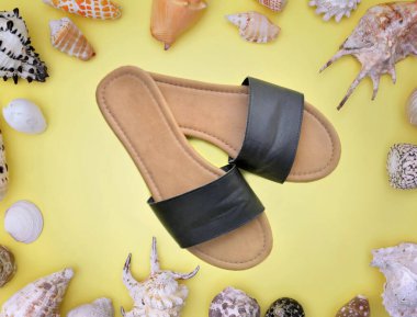 Sarı arkaplanda deniz kabukları ve ortada sandaletler. 