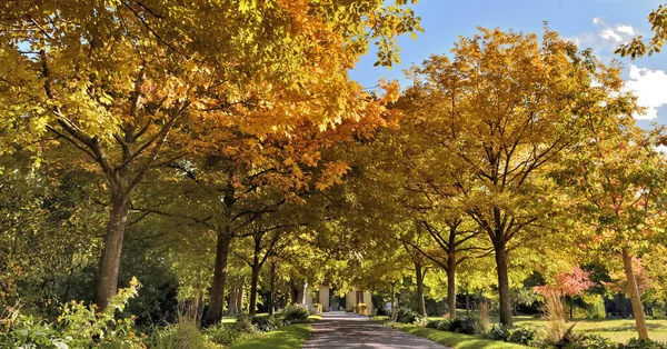 Mooi Openbaar Park Omzoomd Door Kleurrijk Gebladerte Van Bomen Herfst — Stockfoto