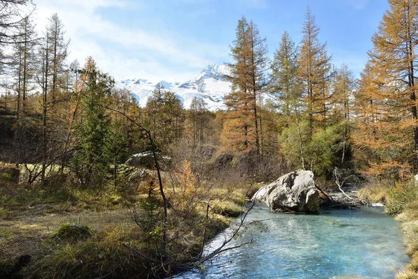 Blue Water Alpine River Forest Snowy Peak Mountain Background Europe — Stock Photo, Image