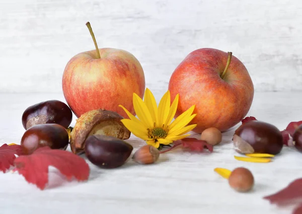 Red Apples Brown Yellow Flowers Leaves Autumnal Still Life White — Stock Photo, Image