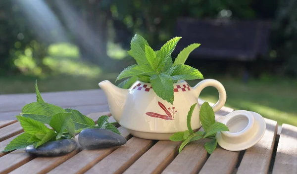 Pretty Teapot Full Fresh Mint Leaf Wooden Table Garden Lighthing — Stock Photo, Image