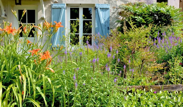 Flores Que Florecen Jardín Frente Una Ventana Con Persianas Azules — Foto de Stock