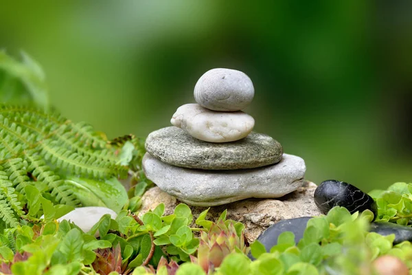 Bulanık Yeşil Arka Planda Bir Zen Kayası Bahçesinde Çakıl Yapraklar — Stok fotoğraf