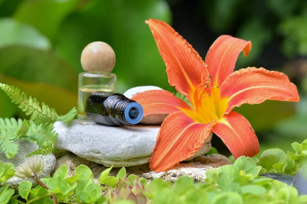 Bottles Essential Oil Stone Next Big Orange Flower Lys — Stock Photo, Image