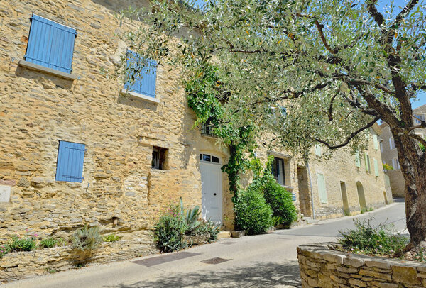Place and building of a provencal french village with an olive grove tree