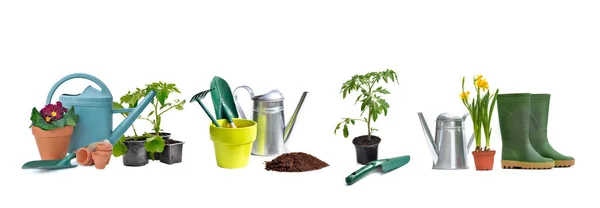 Colagem Equipamentos Jardinagem Plantas Isoladas Fundo Branco — Fotografia de Stock