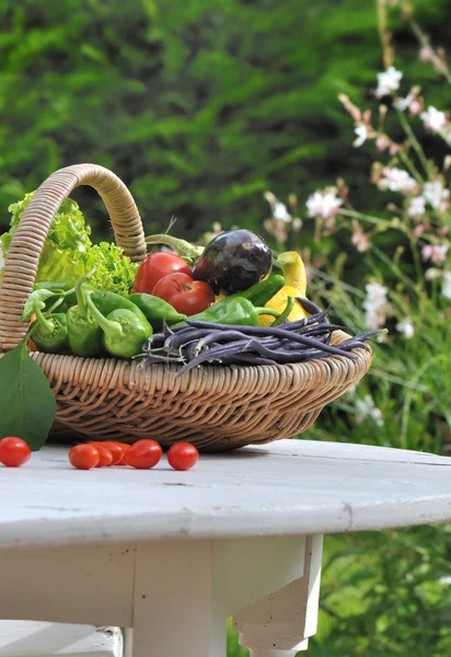 Garden vegetables basket — Stock Photo, Image